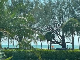 2100 Gulf Shore Blvd N #100 - Photo 1 of 1