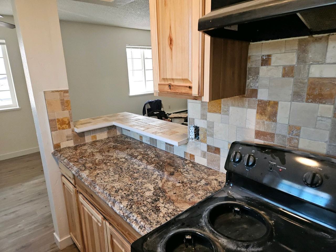 SLICK ROCK APARTMENTS - Photo 4 of 9