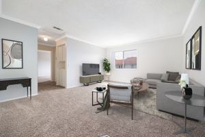 featured image of 28550 28550 & 28566 Pujol St.
