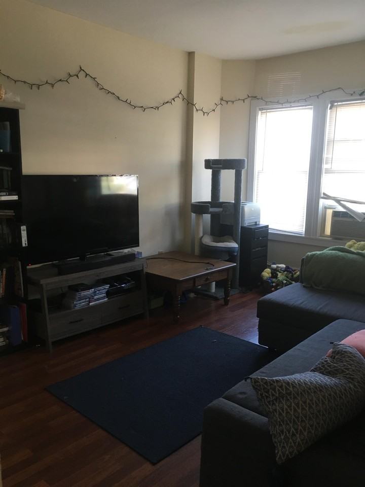 113 Maple Street - Photo 4 of 17
