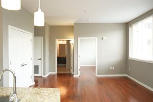 featured image of 459 Locust Avenue