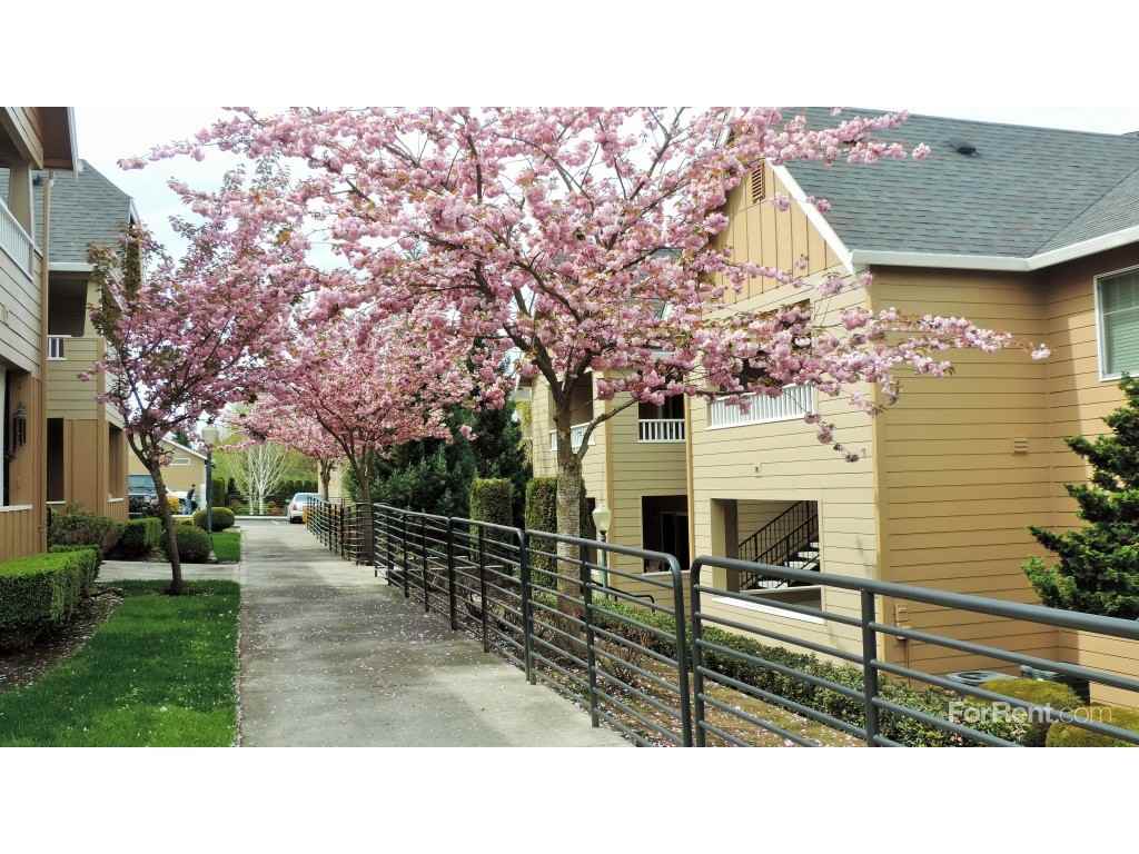 Mission Hills - Photo 3 of 19