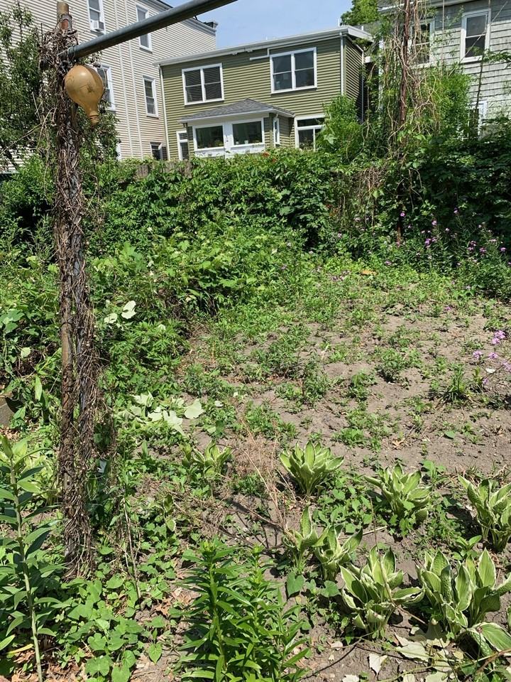 Seventh Street #3 - Photo 7 of 7