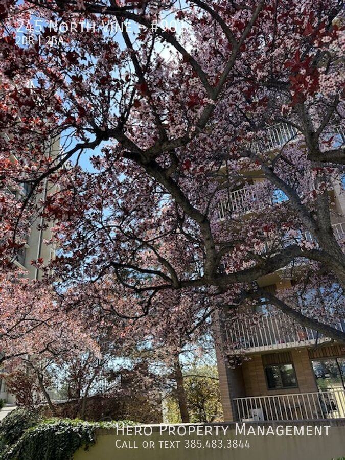 245 N Vine St #901 - Photo 3 of 50