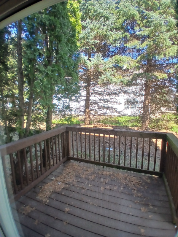 10215 Metalmark Ln - Photo 2 of 11