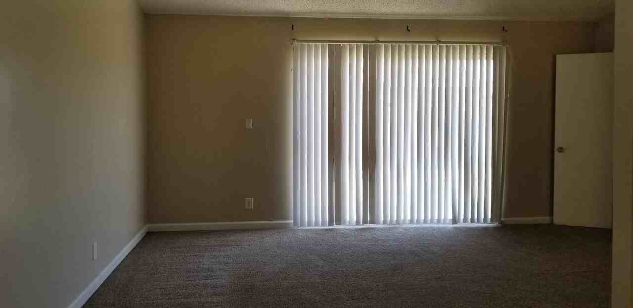 307 Buckley Ave - Photo 3 of 11