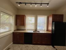 Baum 5519 - Photo 1 of 1