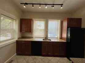 Baum 5519 - Photo 1 of 1