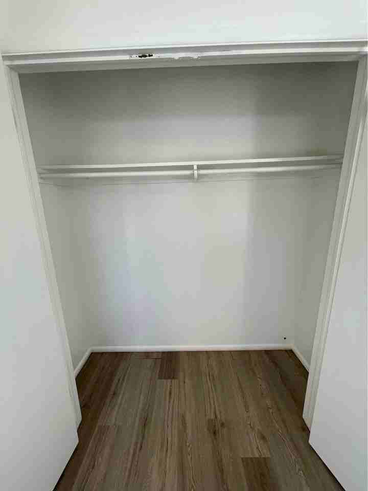 Horseshoe Apartments - Photo 5 of 22