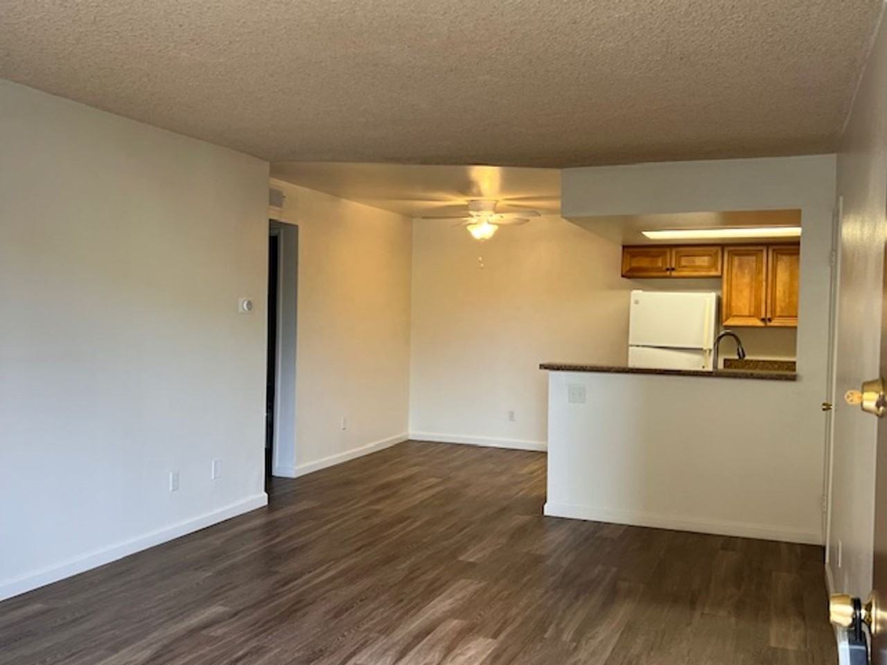 AMMO - Photo 5 of 26