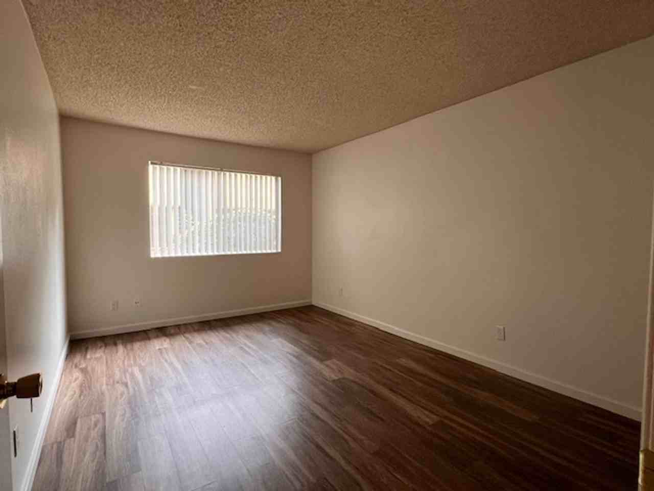 AMMO - Photo 6 of 26