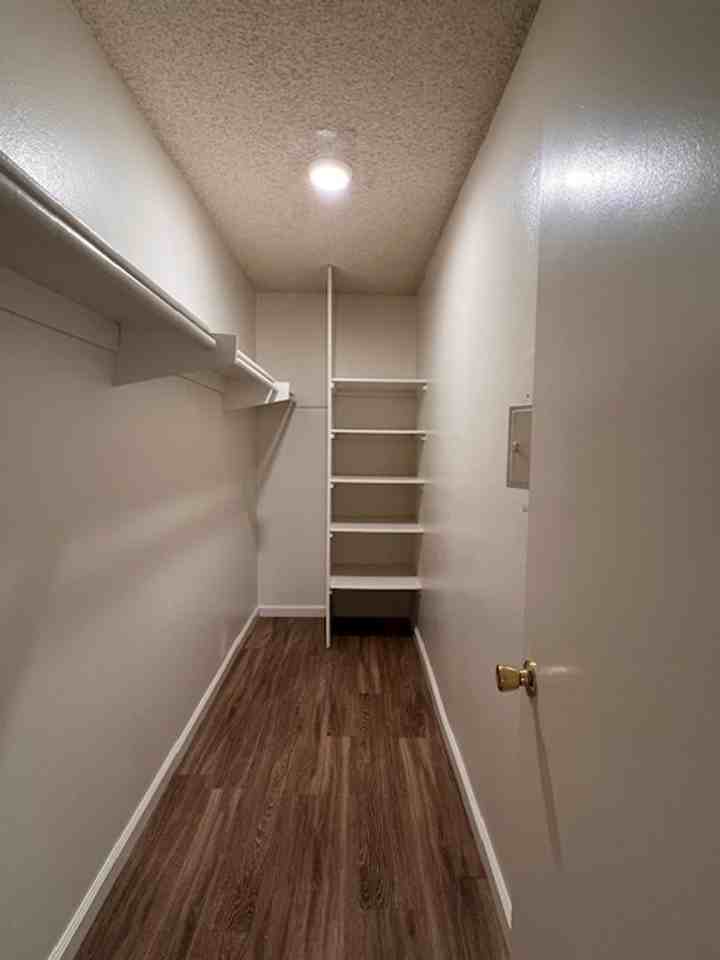 AMMO - Photo 7 of 26