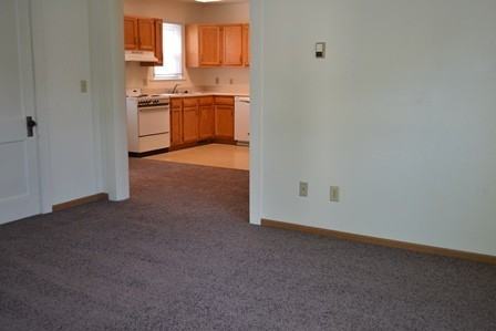 Steve Smith - Photo 2 of 50