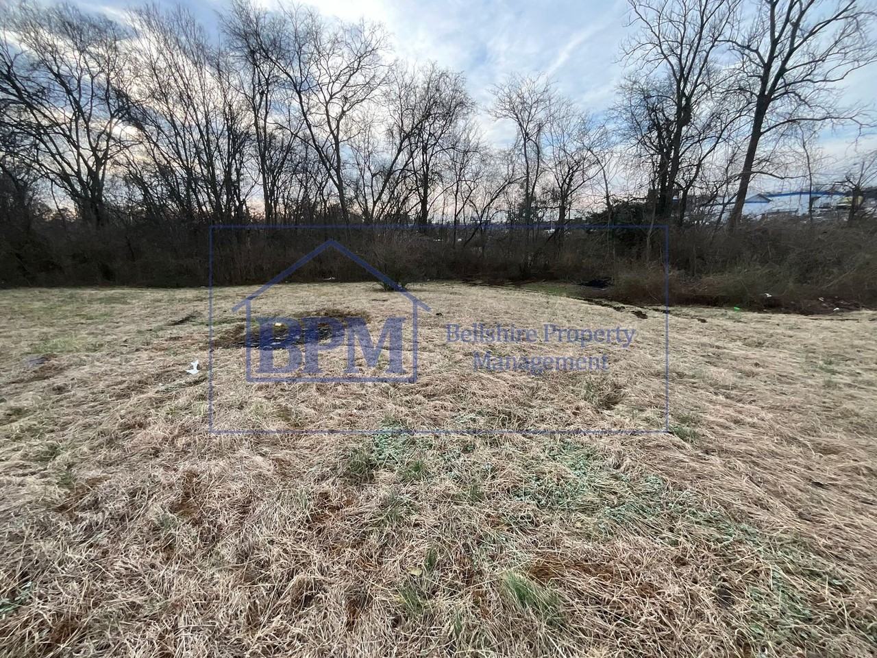 316 Rural Hill Rd - Photo 2 of 18