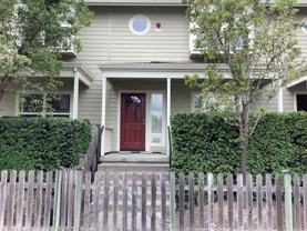 Willowtree - Photo 1 of 1