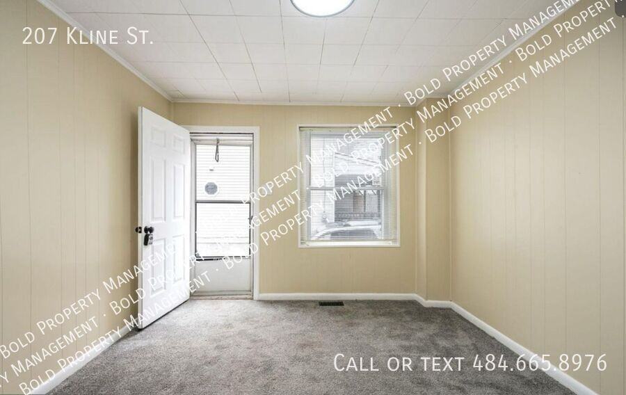 207 Kline St - Photo 2 of 15