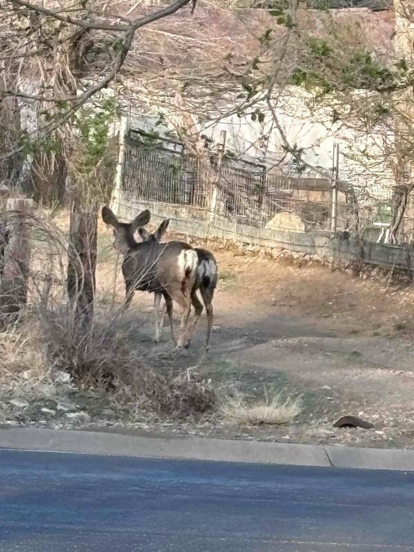 205 N Hendren Ave - Photo 7 of 18