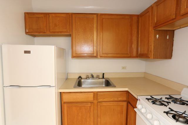 1164 N Dearborn St #510 - Photo 2 of 14