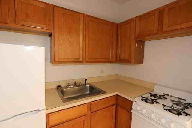 1164 N Dearborn St #510 - Photo 3 of 14