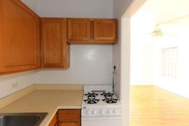 1164 N Dearborn St #510 - Photo 4 of 14