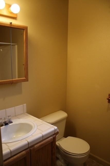 17210 Gadwall Dr - Photo 7 of 17