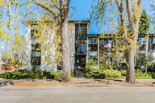 Urban Oasis! - Photo 1 of 1