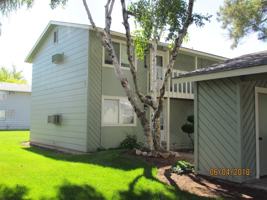 featured image of 1488 Sunrise Manor Way