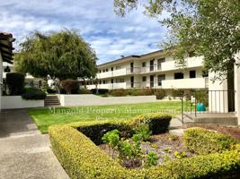 featured image of 500 Glenwood Cir #237