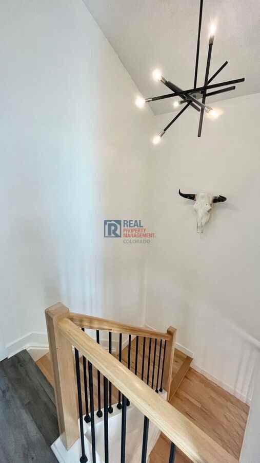 9701 W Chatfield Ave #C - Photo 6 of 14