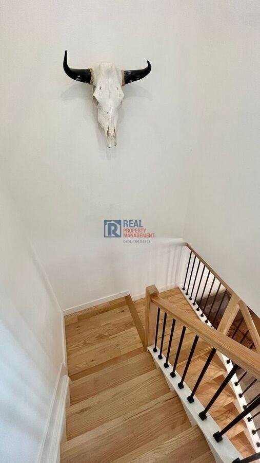 9701 W Chatfield Ave #C - Photo 7 of 14