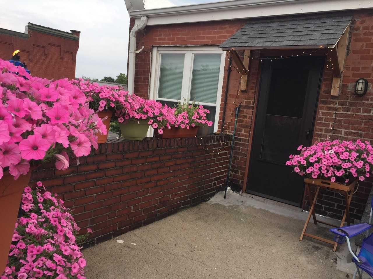 Penn 5171 - Photo 7 of 26