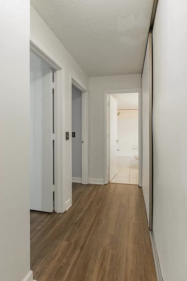 804 Old Settlers Trl #4 - Photo 6 of 25