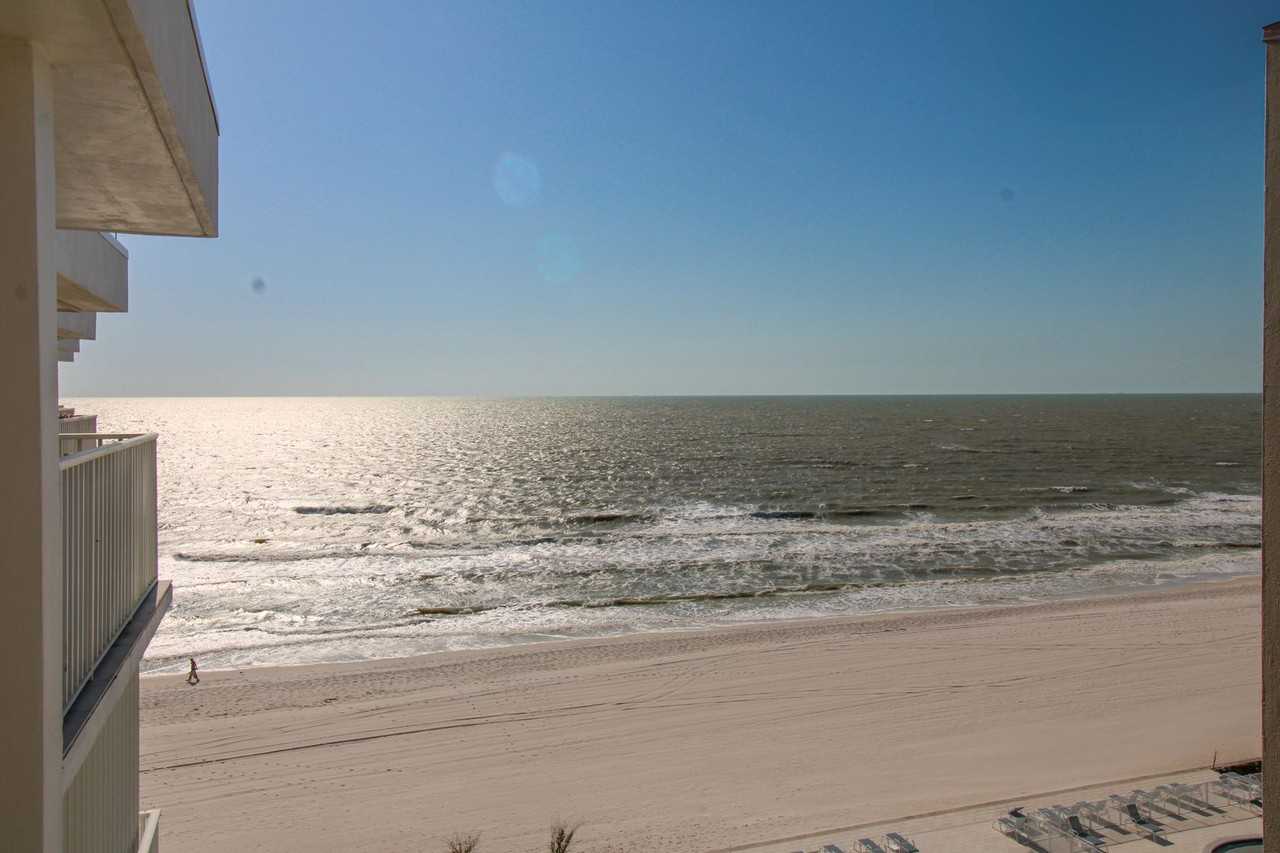 3443 Gulf Shore Blvd N #213