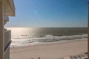 3443 Gulf Shore Blvd N #213 - Photo 1 of 1