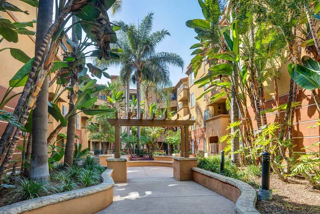 Alessio - Photo 2 of 74