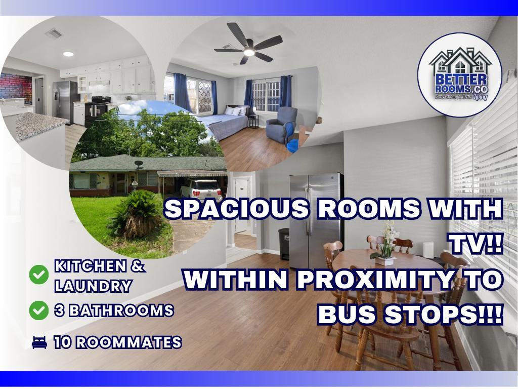 Noah St - Photo 6 of 17