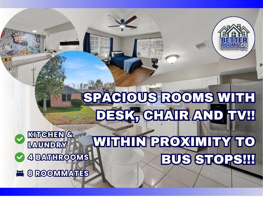 Schevers Street - Photo 6 of 16