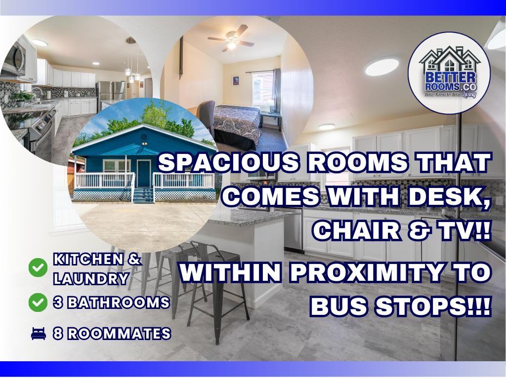 Kenton Street - Photo 5 of 16