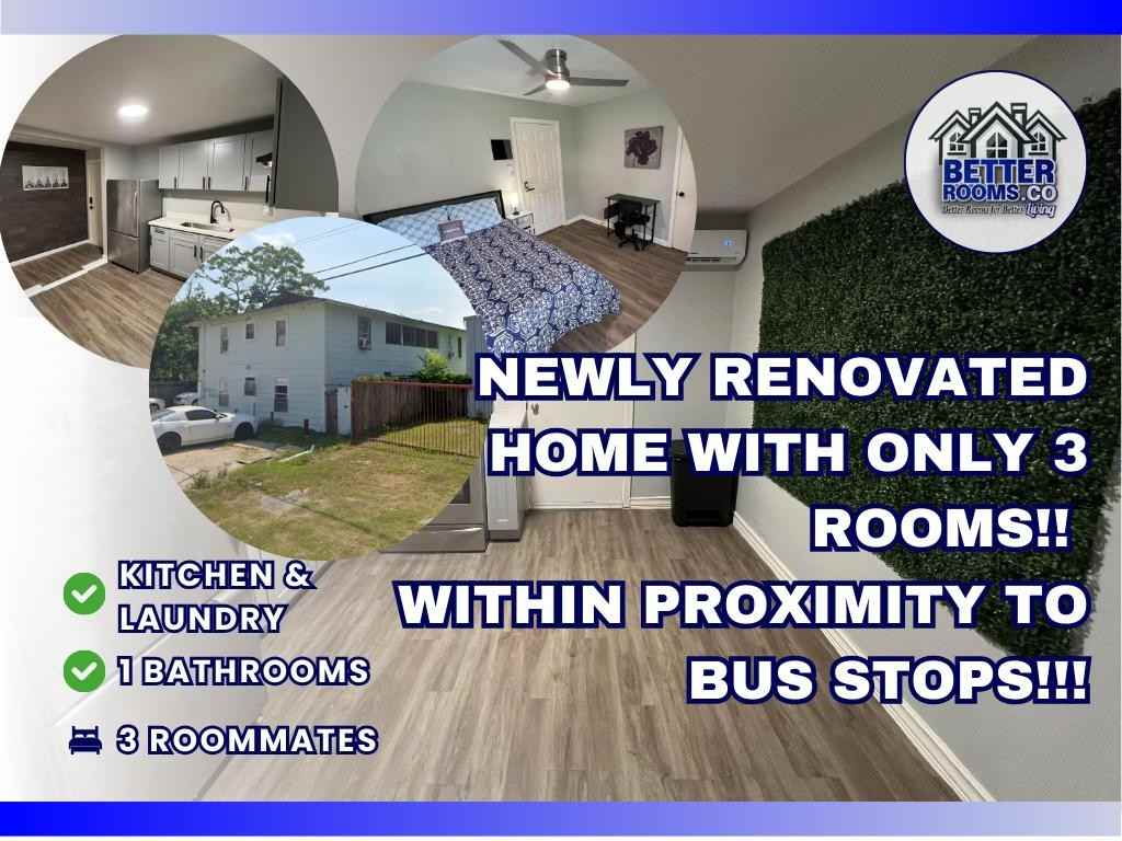 Conley Street - Photo 3 of 13