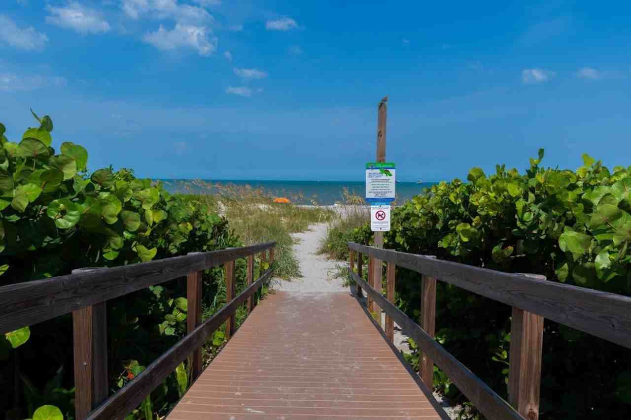 505 Fillmore Avenue - Photo 7 of 30