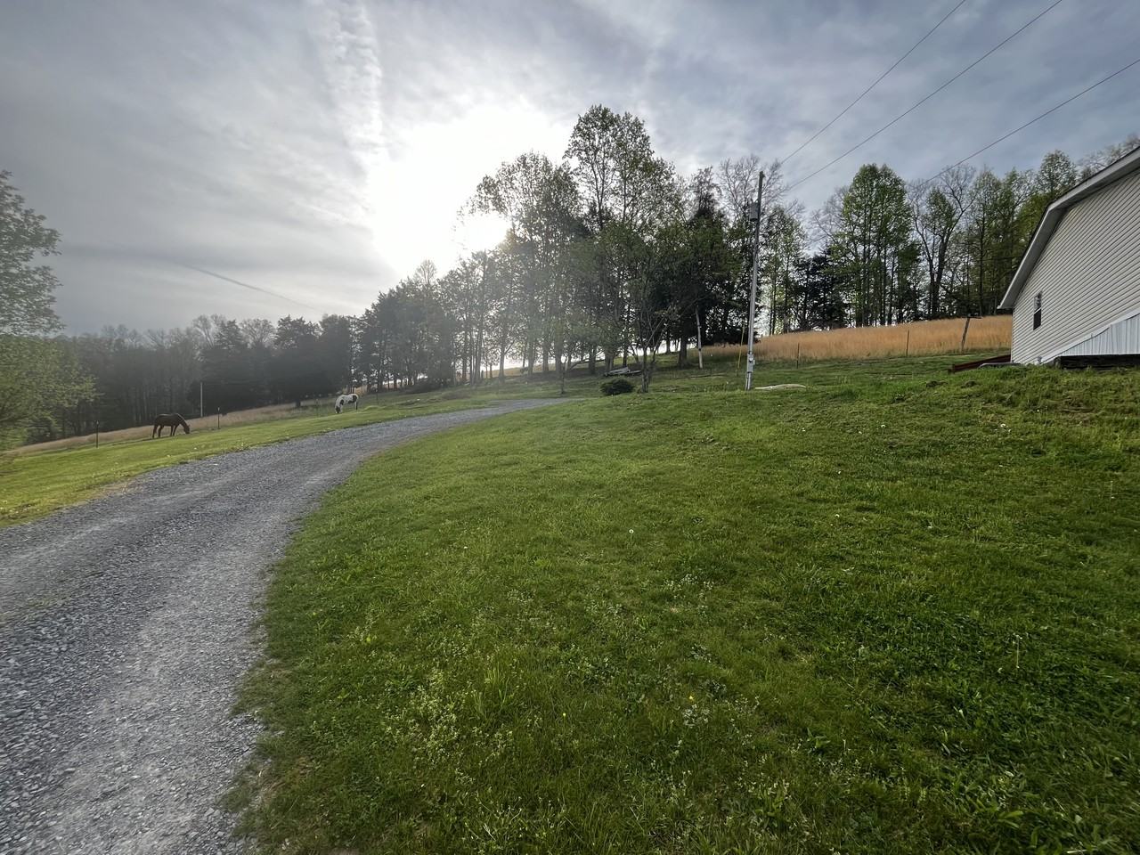 282 Ferguson Ridge Rd #NA - Photo 2 of 9