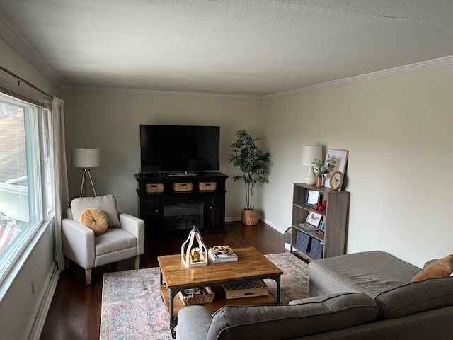 20515 Manor Rd - Photo 3 of 12