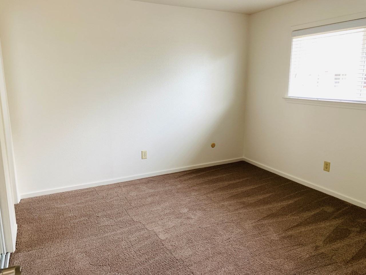 268 Douglas Street - Photo 5 of 31