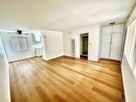 Spacious Studio - Photo 1 of 1