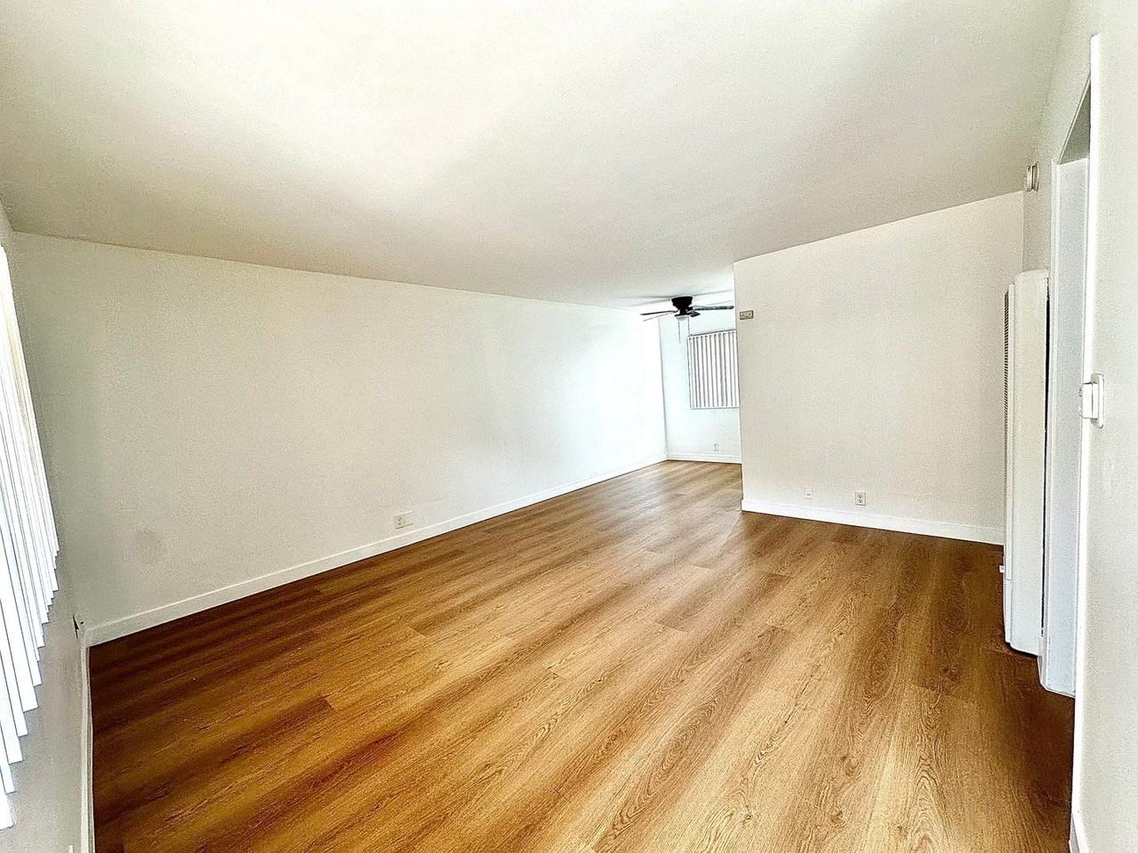 Spacious Studio - Photo 3 of 19