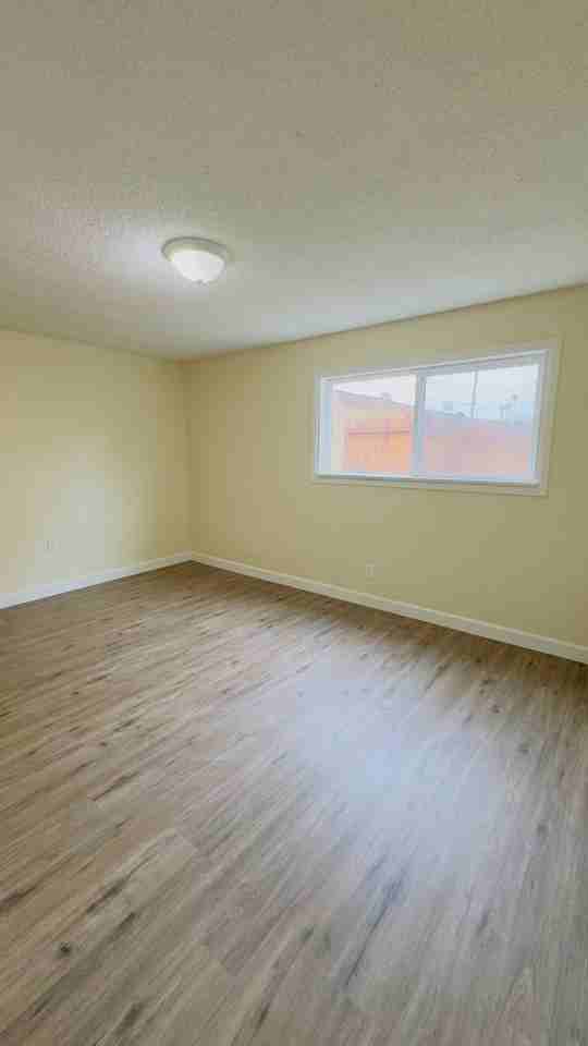 3516 Lou Ella Ln - Photo 4 of 15