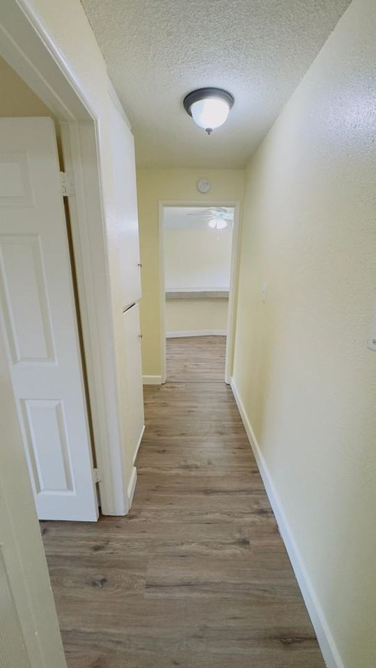 3516 Lou Ella Ln - Photo 7 of 15