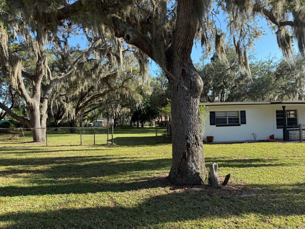 4231 Tangerine St - Photo 2 of 11