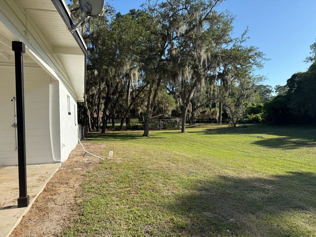 4231 Tangerine St - Photo 3 of 11