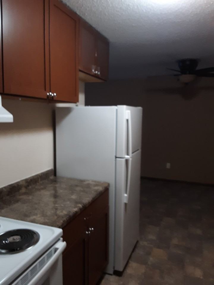 KENT 515 - Photo 2 of 4